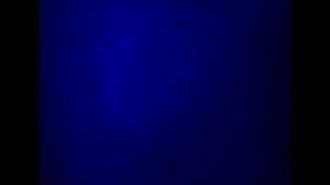 kathy online show from 03.05.25