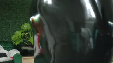 Kate online show from 01.19.25