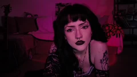 kattattacck online show from 06.09.26