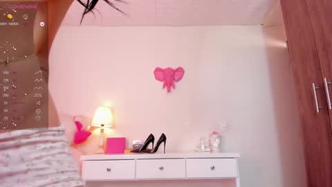 katte online show from 12.11.24