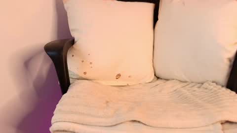 Katy Van online show from 03.11.25