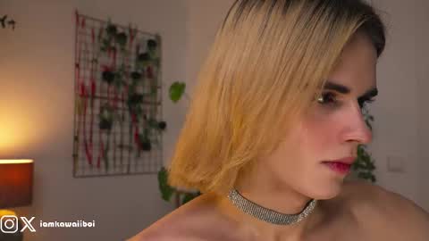 sasha online show from 02.08.25