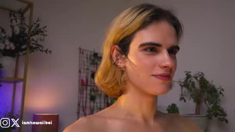 sasha online show from 02.12.25