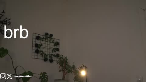 sasha online show from 02.21.25