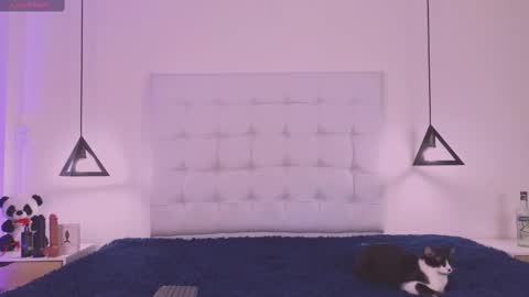 Cattleya stone online show from 02.18.25