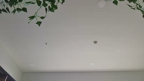 Sky-pure-Japanese online show from 04.07.26