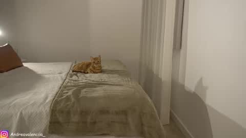 Andrea online show from 03.10.25