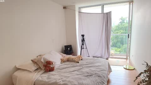 kendall online show from 03.10.26