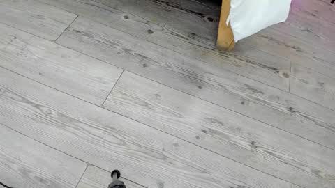 Snapshot of kendra_london chatting on 02.24.26 Kendra London online show from 02.24.26