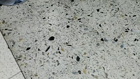 Snapshot of kendra_london chatting on 04.10.26 Kendra London online show from 04.10.26