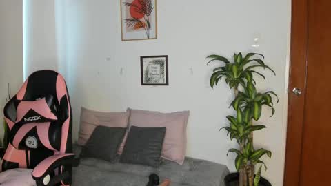  01  online show from 11.23.25