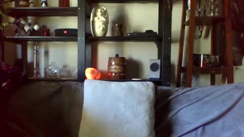 Ken Kuddles online show from 01.17.25