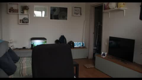 Kev online show from 02.17.25