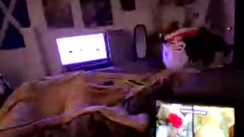 Small package Peter online show from 08.03.26