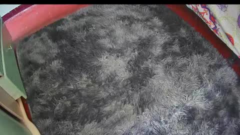 Keyla online show from 02.25.26