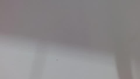 Melody online show from 10.11.25