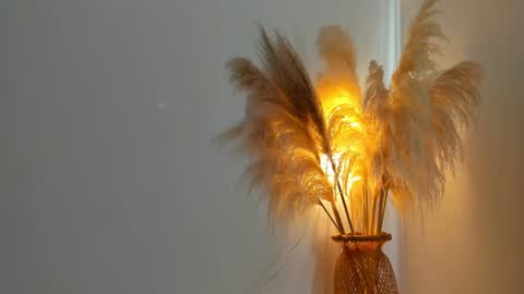 Kim Murphy online show from 12.31.24