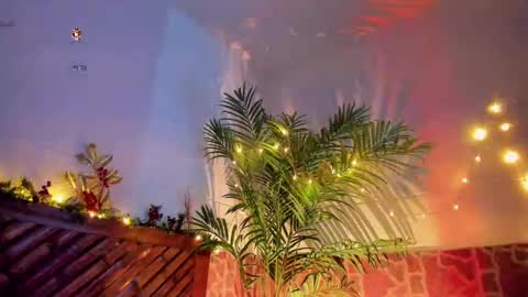 kimberly gonzalez online show from 12.14.24