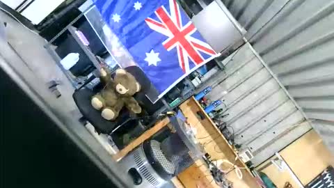 kimintheshed online show from 05.31.26