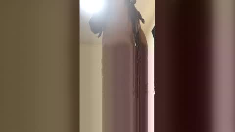 kingecstasyxxxddd online show from 05.18.26