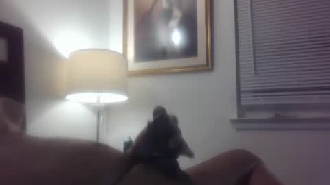 Kingswill online show from 02.24.26