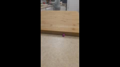 Maysie and Hunter online show from 03.16.26