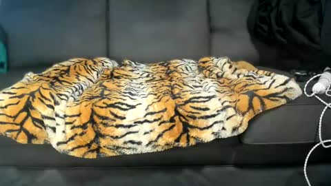 Kinky online show from 01.16.25