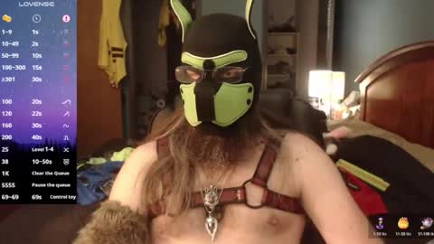 kinkywolf87 online show from 06.12.26