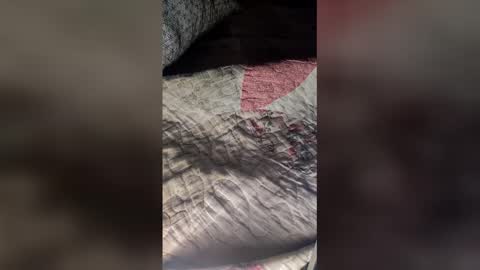 St1r4life online show from 03.19.26