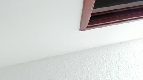 Snapshot of kissmesara chatting on 02.27.26 Sara online show from 02.27.26