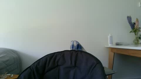 Steve Cocks online show from 12.11.24