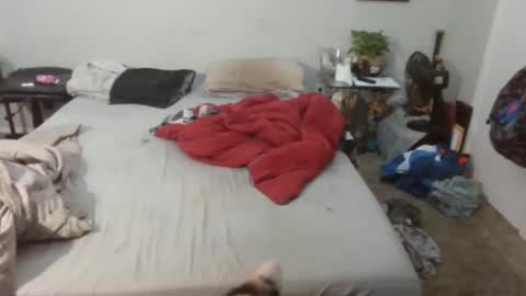 Kitten and rebellious online show from 02.20.25