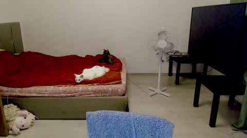 Jennyblonde and Emmabrunette online show from 02.10.25