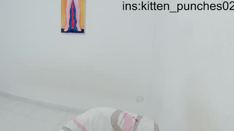 kitten_punches02 online show from 01.11.26