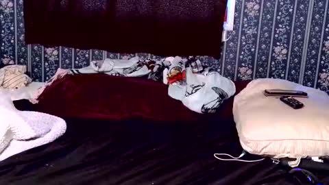 kittenkayla26 online show from 04.09.26