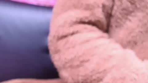 Kitty online show from 10.23.25