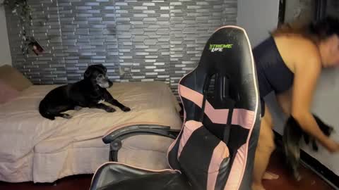 violet online show from 09.15.25