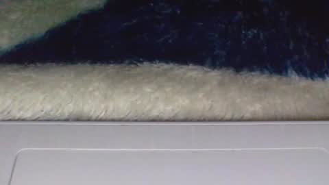 ana online show from 02.11.25