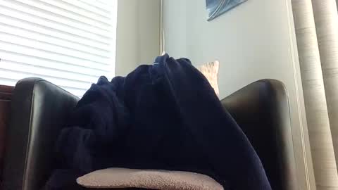 knightrider4324 online show from 12.21.24