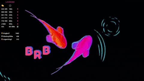 Snapshot of knowlita chatting on 12.22.24 knowlita online show from 12.22.24