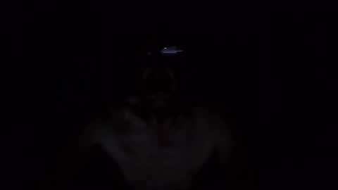 kobolt67 online show from 10.09.25