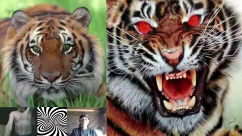 kodiakpm1 online show from 12.03.24