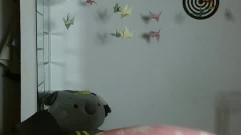 Karoll online show from 01.13.26