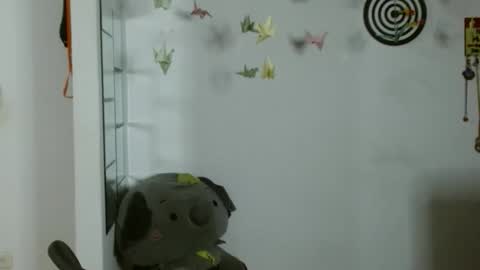 Karoll online show from 02.11.26