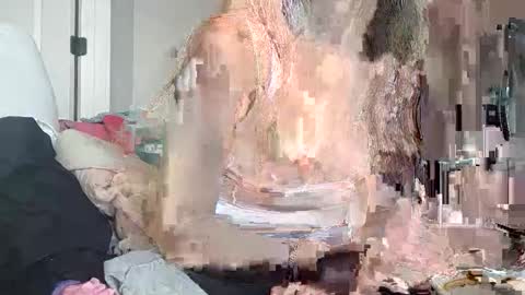 Korina online show from 12.16.25