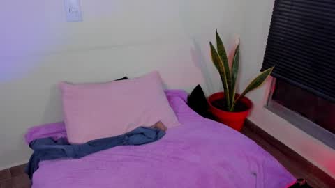 kornicovac online show from 12.29.24