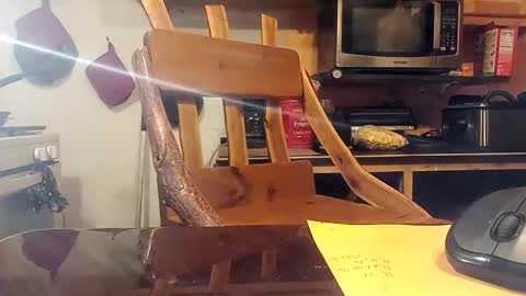 kota183368 online show from 10.18.25