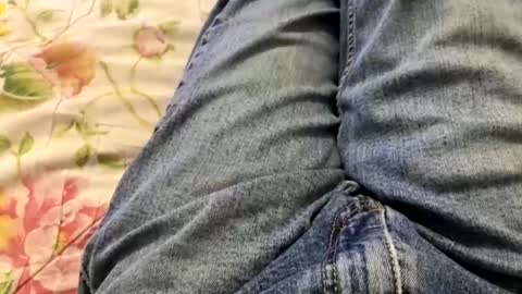 kpcloud255498 online show from 02.13.25