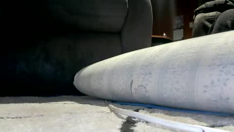 Snapshot of kpxrated chatting on 02.18.26 kpxrated online show from 02.18.26