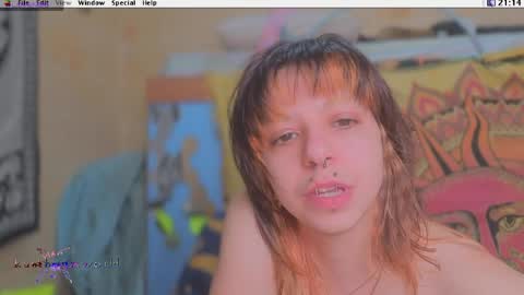 Krypto hethey online show from 04.12.26